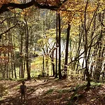 Le Refuge Du Trappeur Tatil Evi *