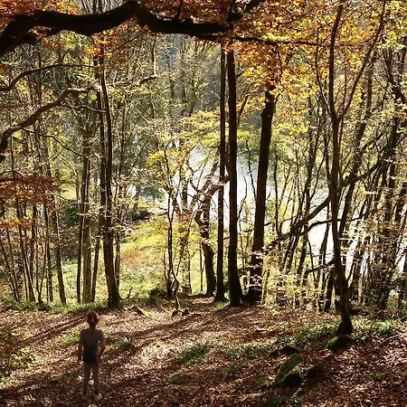 Le Refuge Du Trappeur Casa vacanze *